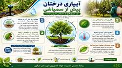 چرا آبیاری درختان پیش از سمپاشی ضروری است؟